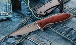 Stainless steel folding knife with wooden handle