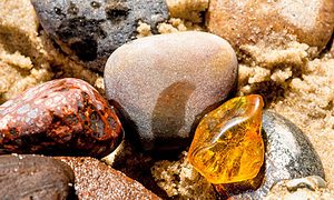 Amber and other rocks on a beach of the Baltic Sea