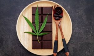 cannabis leaf with dark chocolate and fork
