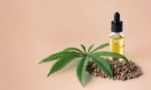 cbd oil