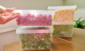 frozen containers of fruits and vegetables