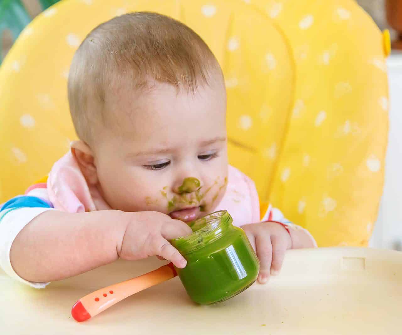 Can You Bring Baby Food On A Plane? Go Every Corner!