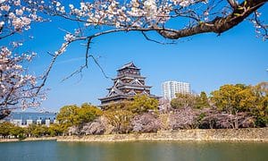 Hiroshima Castle During Cherry Blossom Season in Japan
