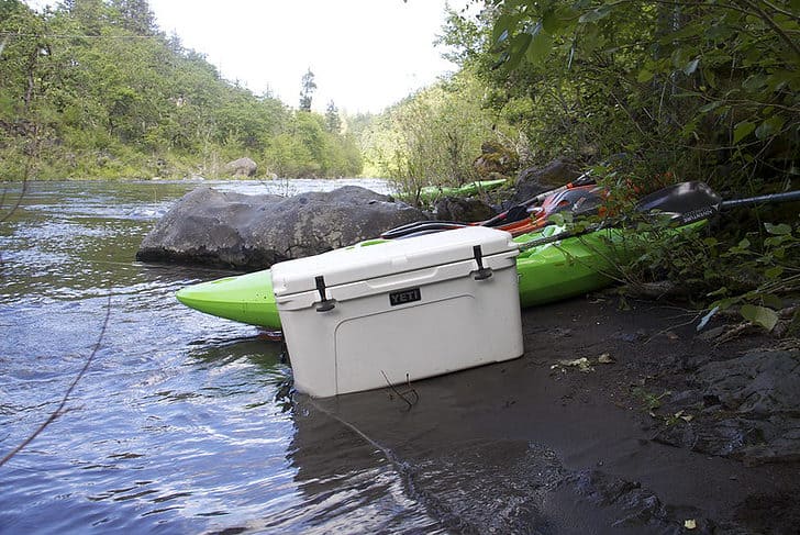 Can You Bring A Yeti On A Plane? – Go Every Corner!