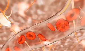 blood clot formation 3D Medical illustration