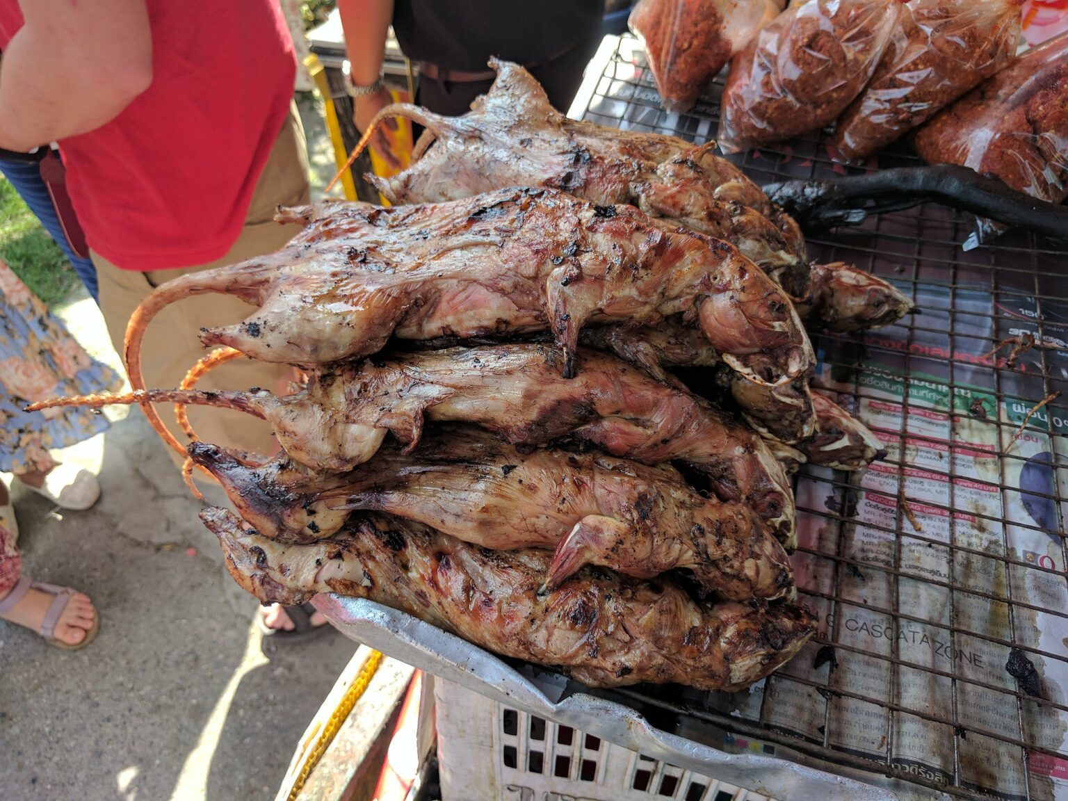 越南奇葩美食，烧烤大老鼠