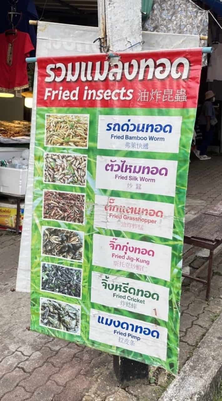 Fried insects for sale in Thailand