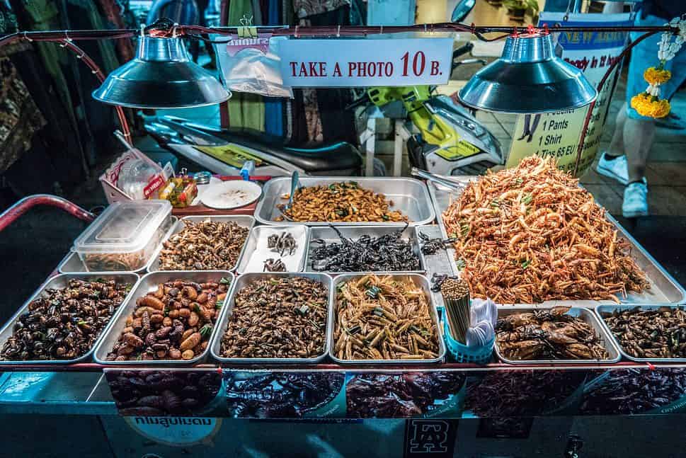Fried insects on the streets of Khao San Road in Bangkok Thailand