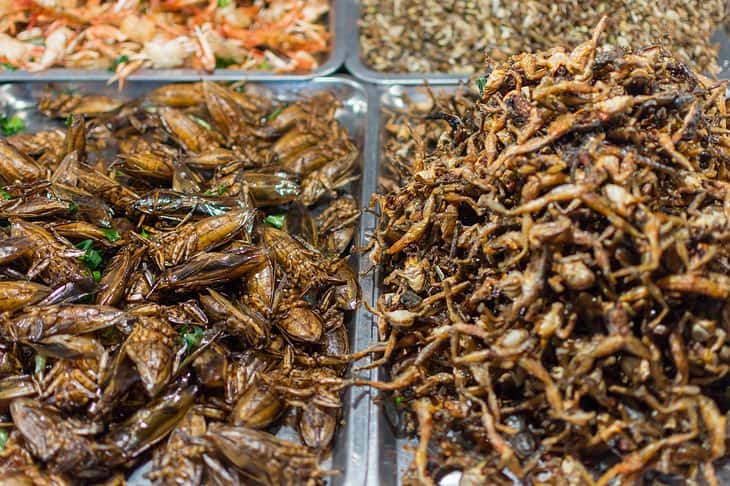 Insects Incheeks Do They Eat Insects In Thailand? – Go Every Corner!