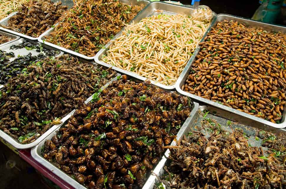 Insects sold as snacks in Thailand