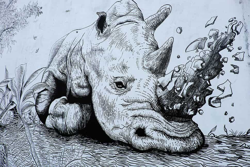 Rhinoceros painting in Vietnam