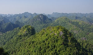 Panorama Of Cat Ba National Park In Vietnam