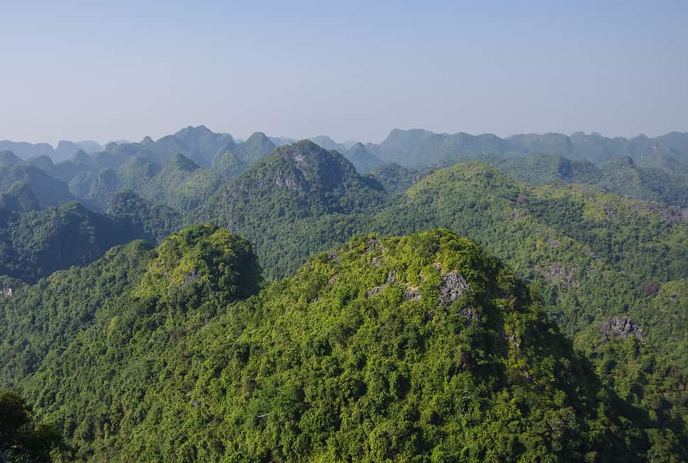 Panorama Of Cat Ba National Park In Vietnam