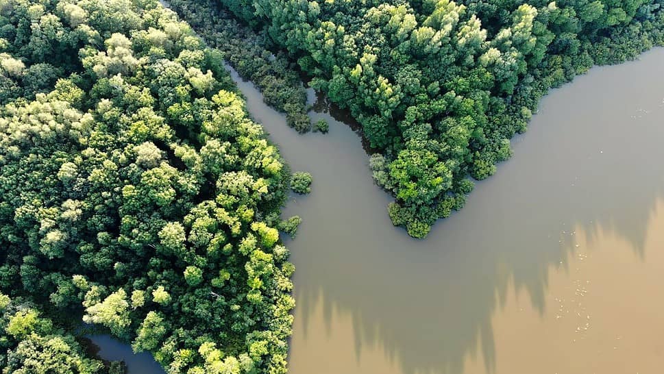 Aerial View Of The Amazon Forests And River