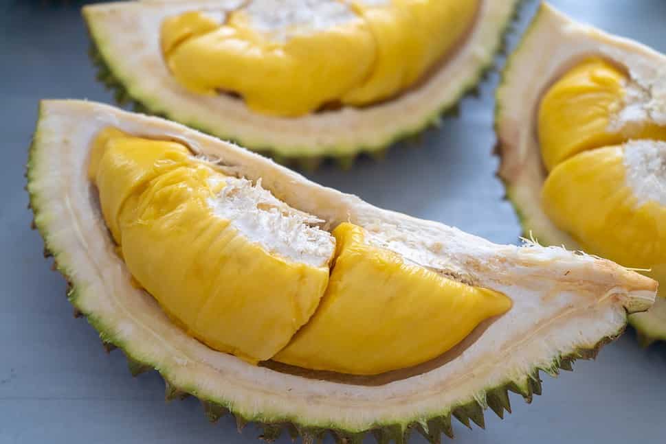 Famous Fruits Durian
