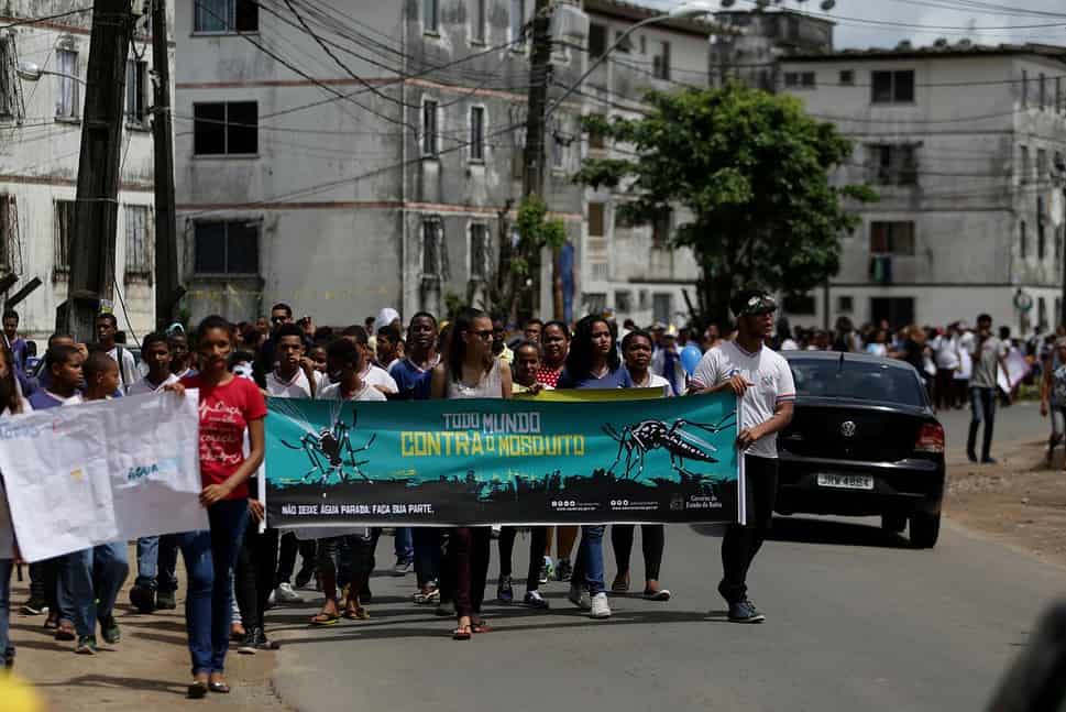 salvador, bahia, brazil - november 30, 2018: Students from the public school during a march in Salvador to raise awareness of the dangers of Aedes aegypti, a mosquito that causes dengue and zica.