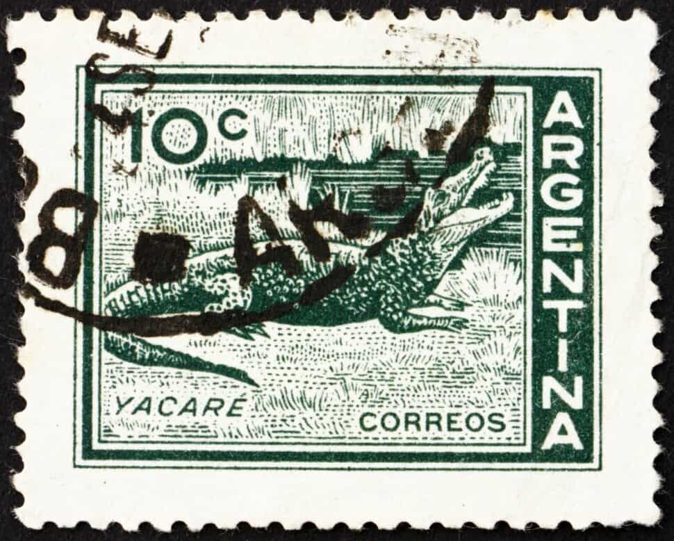 Postage Stamp Argentina from 1959 depicting Yacare Caiman